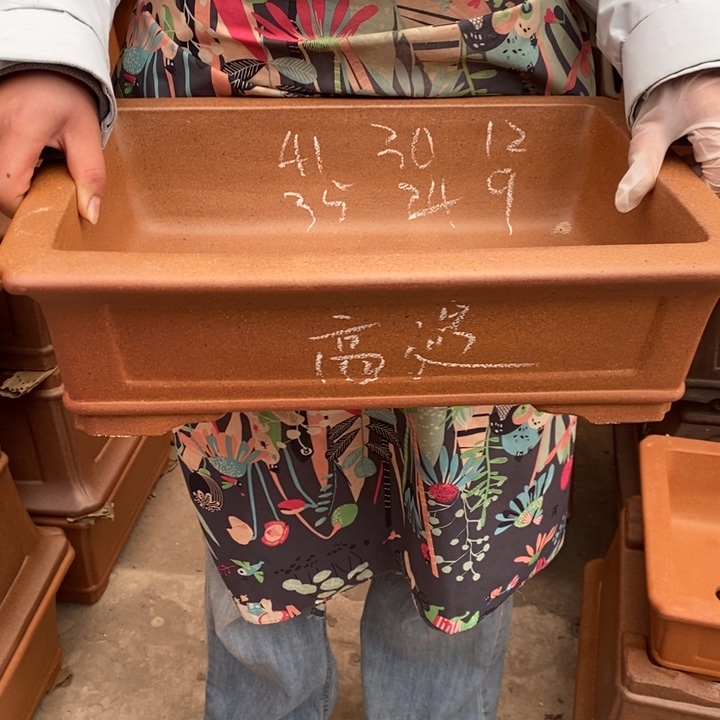 紫砂花盆只顾看手机