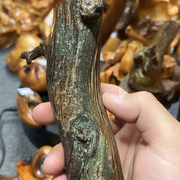 勿***心柏木崖柏手把手把树2