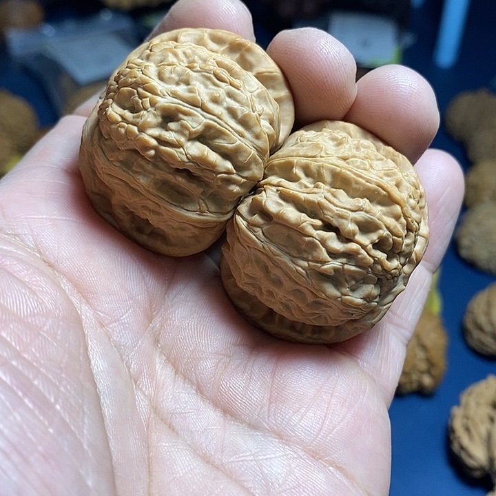 文玩核桃把件42尺，全品白狮子