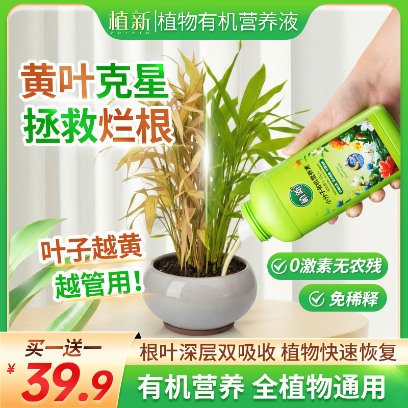 植新小分子有机营养液家庭园艺促进生长温和养护不伤根苗5商品图