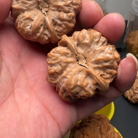 文玩核桃吊坠文玩核桃文玩核桃