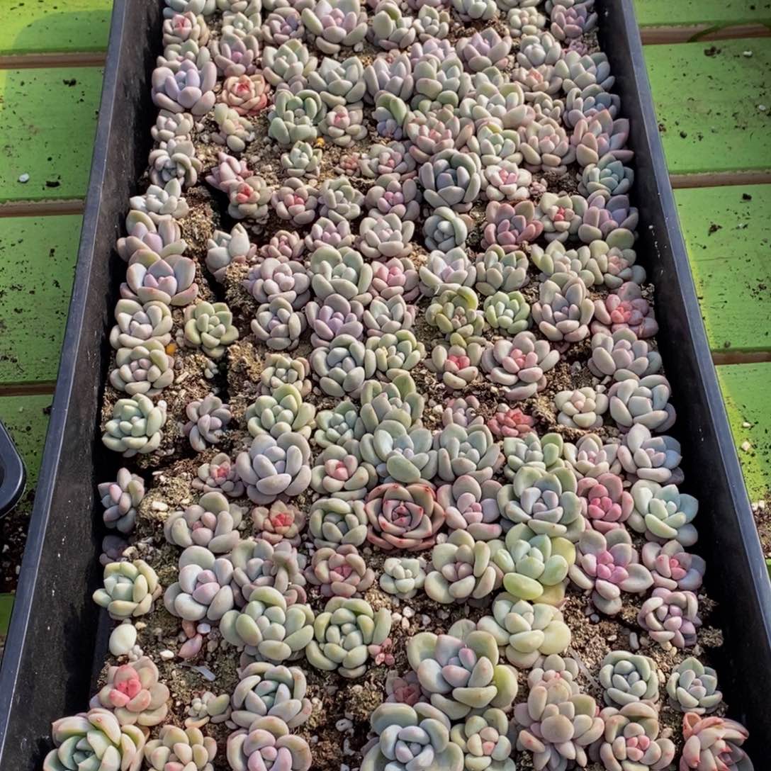 多**娘058的人在一起的时候我