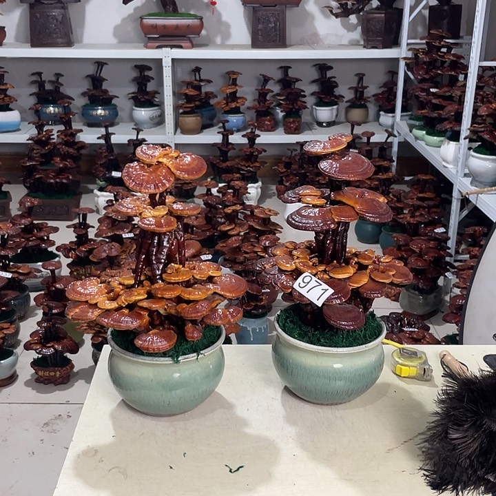 ?****971888888888888888