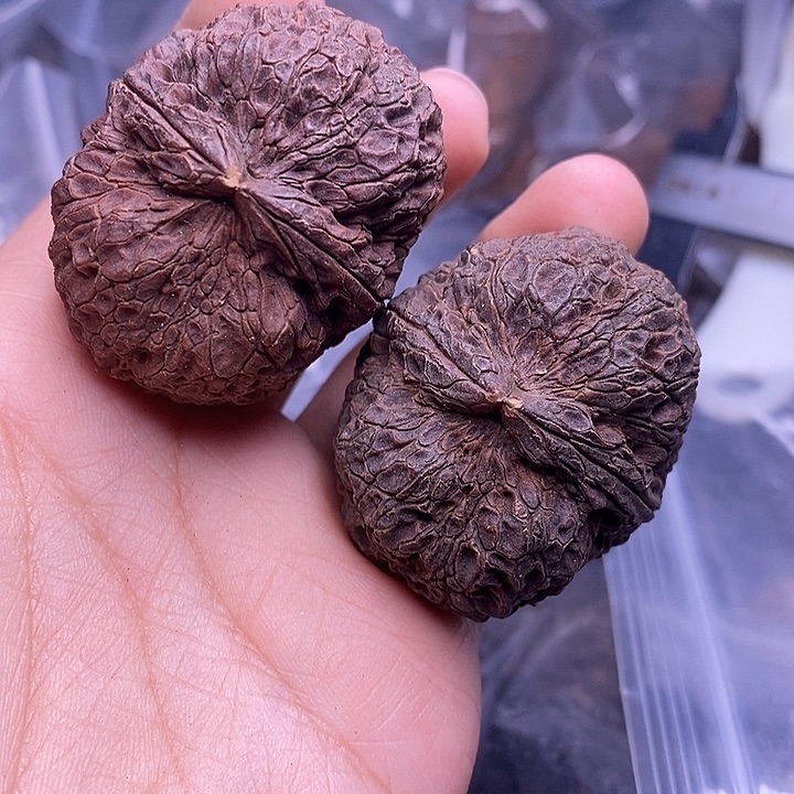 玲***子文玩核桃把件   230