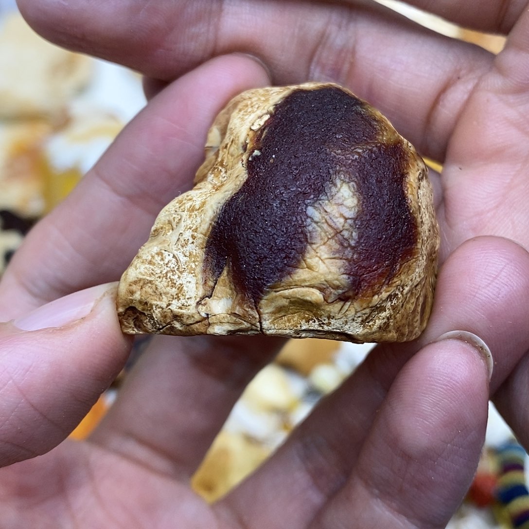 定制蜜蜡未镶嵌C****u原石