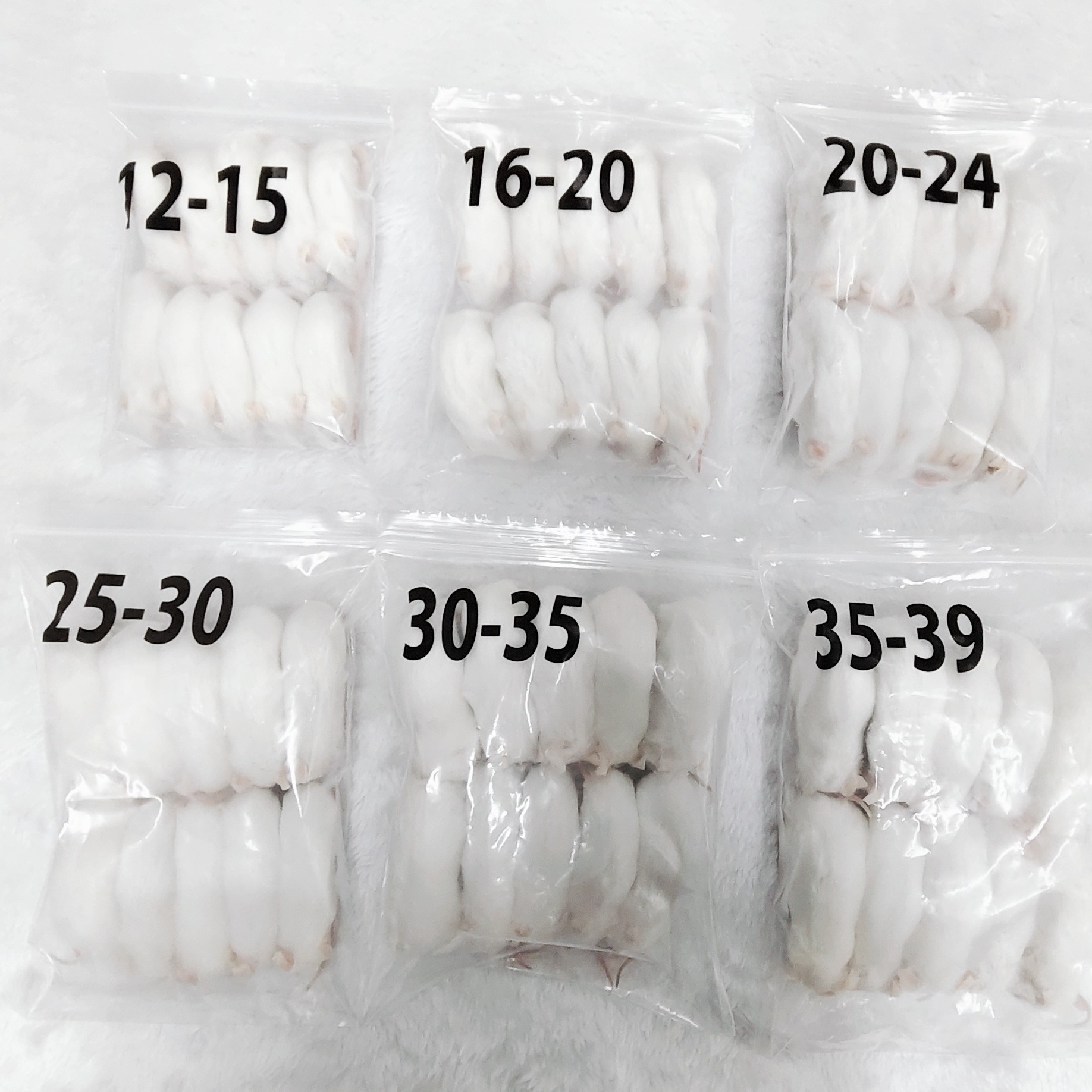 新鲜速冻乳鼠、白鼠，爬宠营养饲料