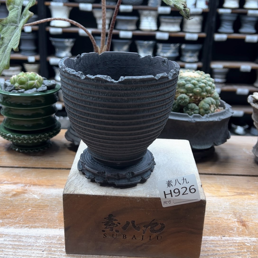 素八九陶瓷内口11.5高12.5