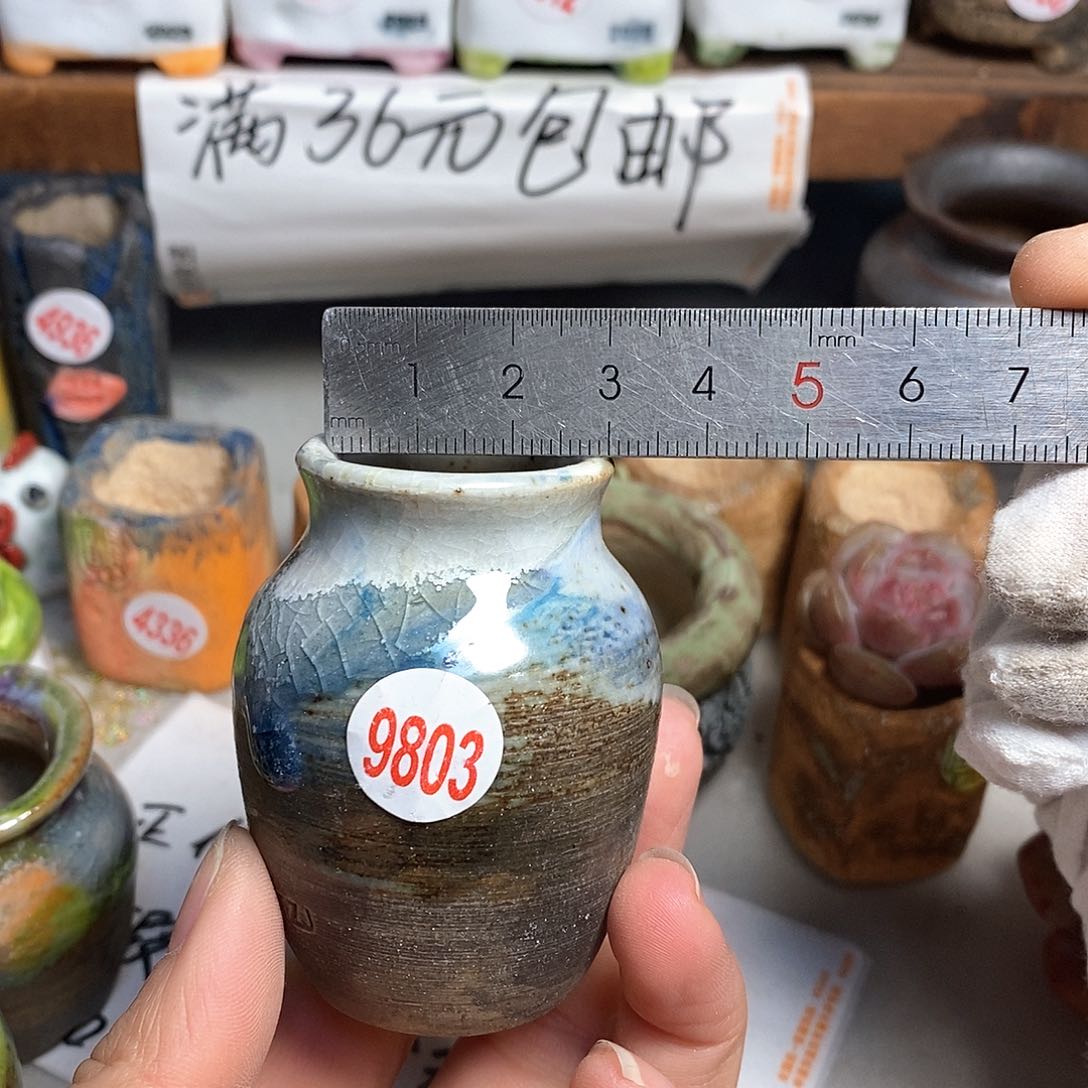 红陶拍5送一个小