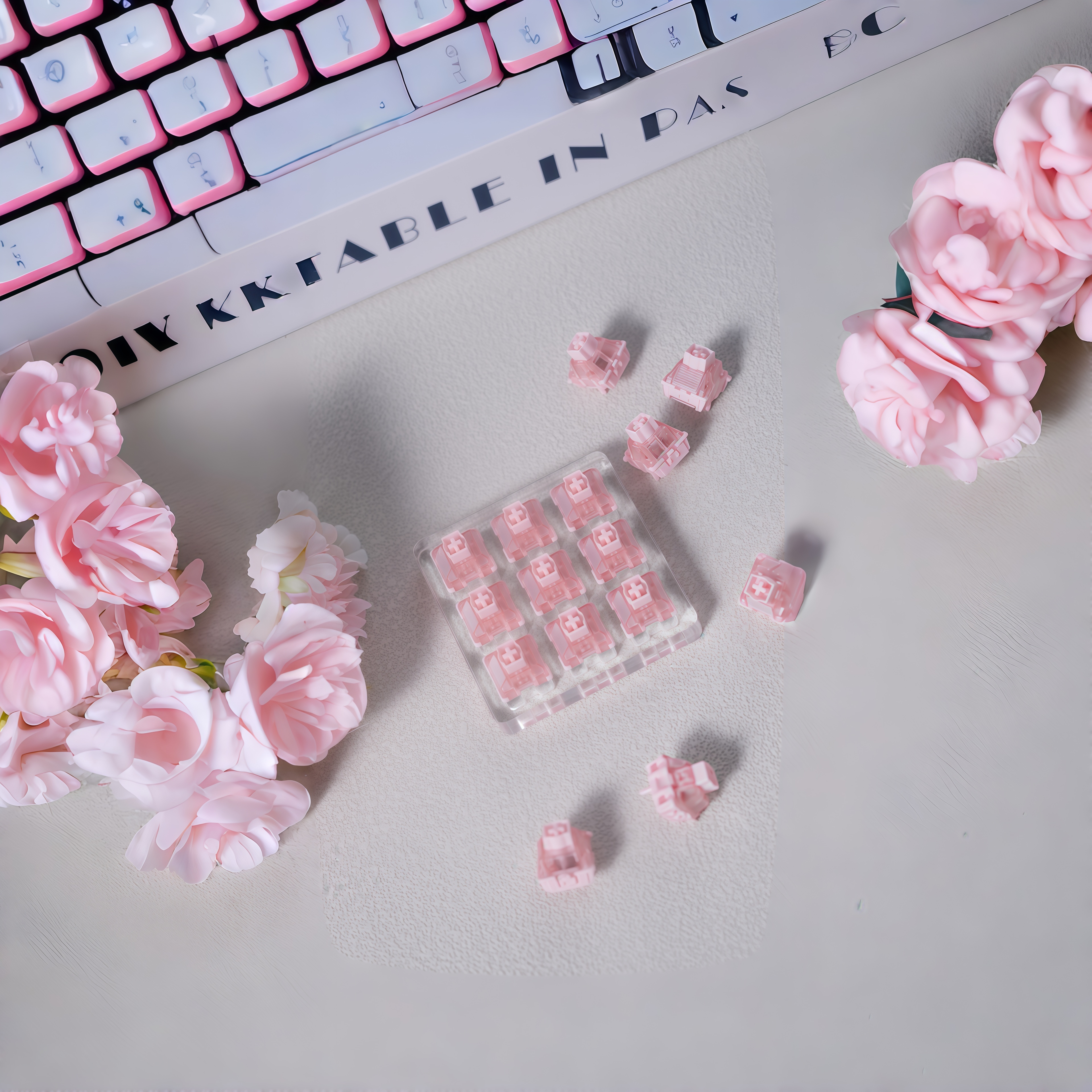 《澜轴》首发嘤嘤轴磁轴