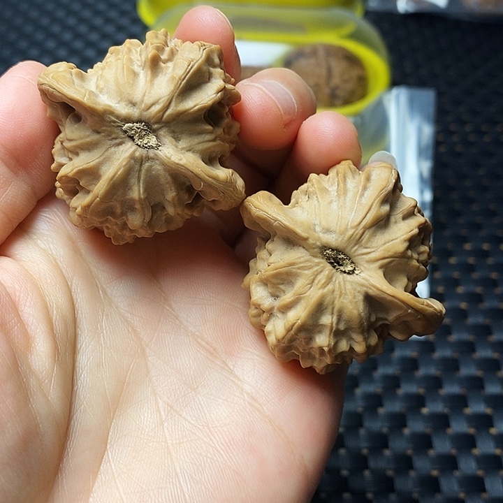 文玩核桃吊坠大耳朵图图