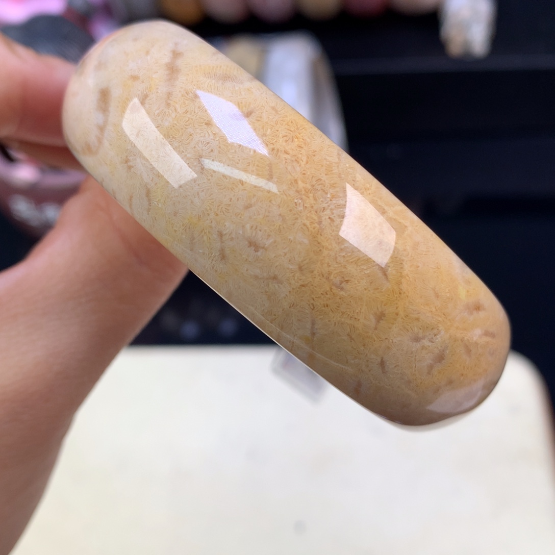 硅化珊瑚（珊瑚玉）未镶嵌吊坠(赠链)五折手镯意境虫56.5圈（17号）