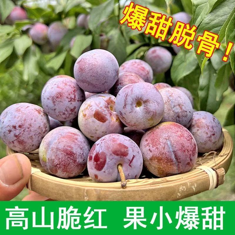 四川小脆红李新鲜应季水果脆甜脱骨离核现摘现发