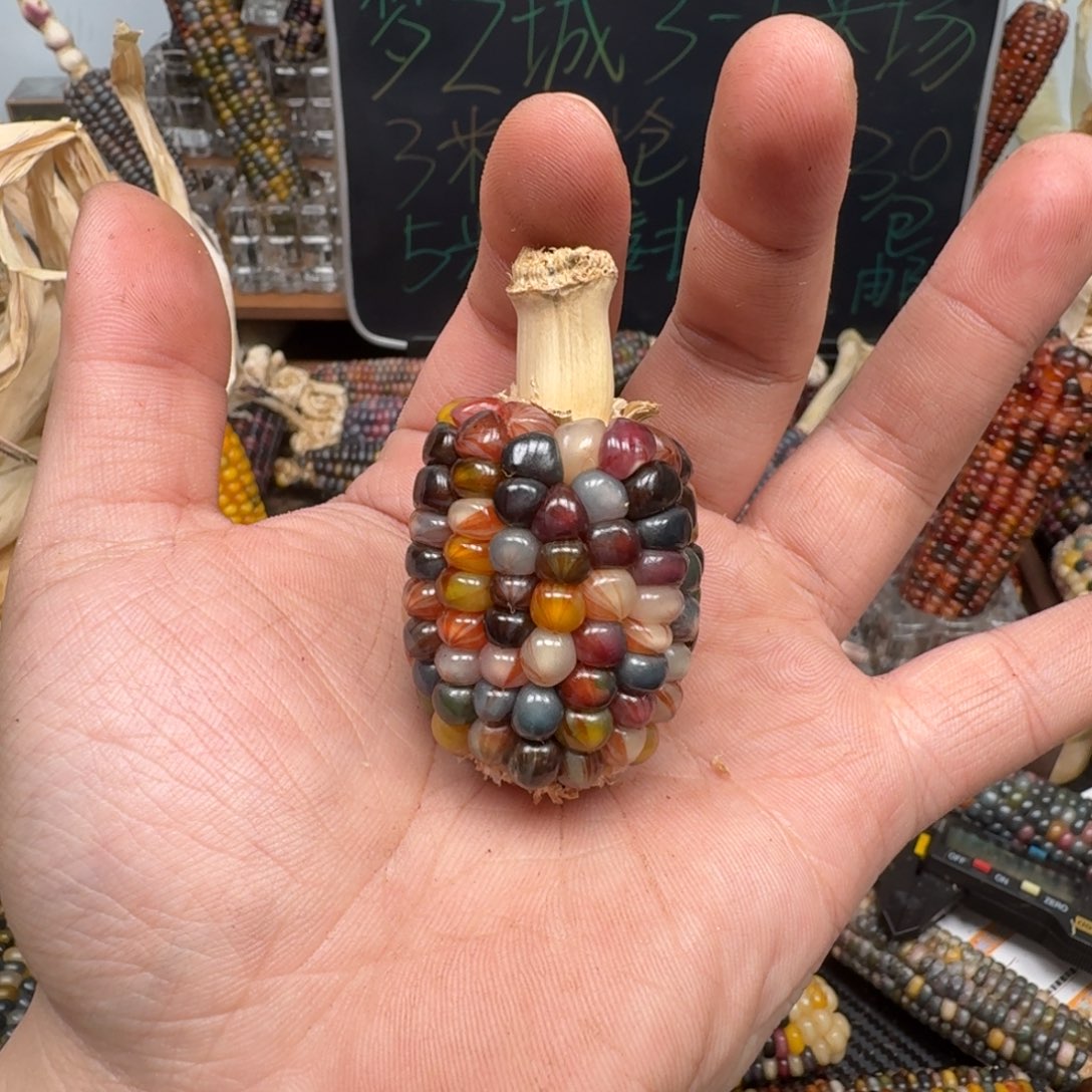 柏香籽/百香籽吊坠丫*～