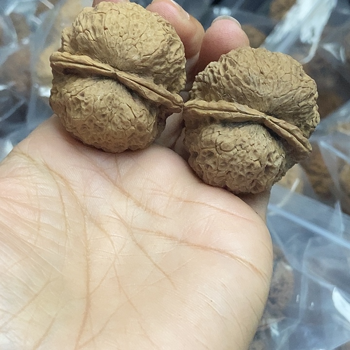 木质类云南铁核桃+24