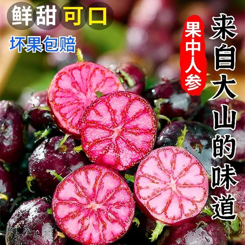 【头茬】云南红果参蜘蛛果新鲜现摘现发酸甜多汁稀有脆甜红参果