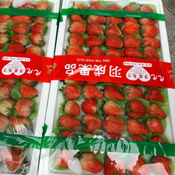 99超大果牛奶草莓泡沫箱一整版