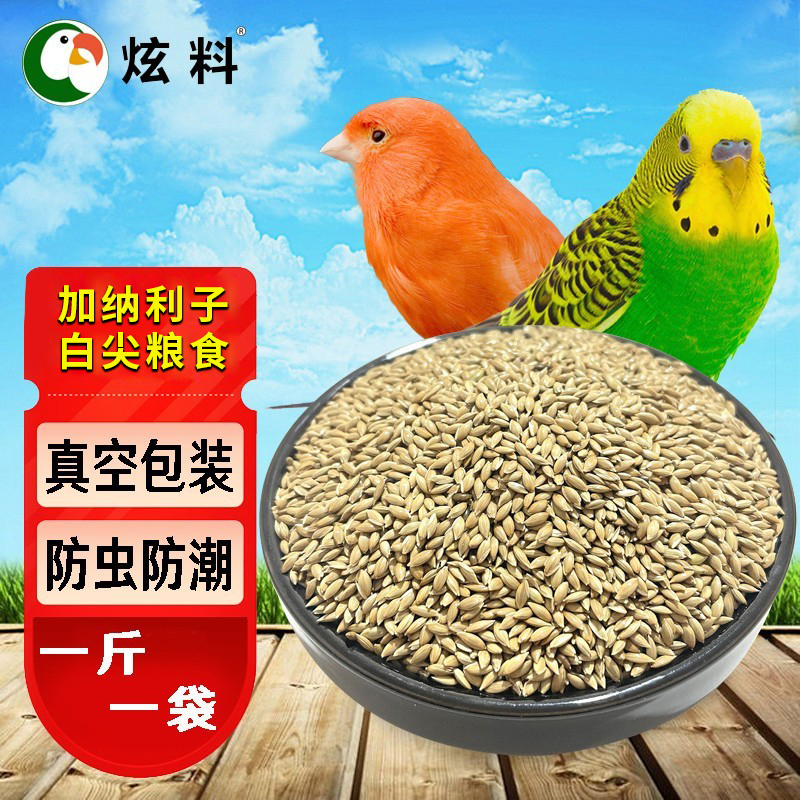 炫料加纳利子金丝雀籽虎皮鹦鹉鸟食油尖粟白尖鸟粮鸟500克真空装