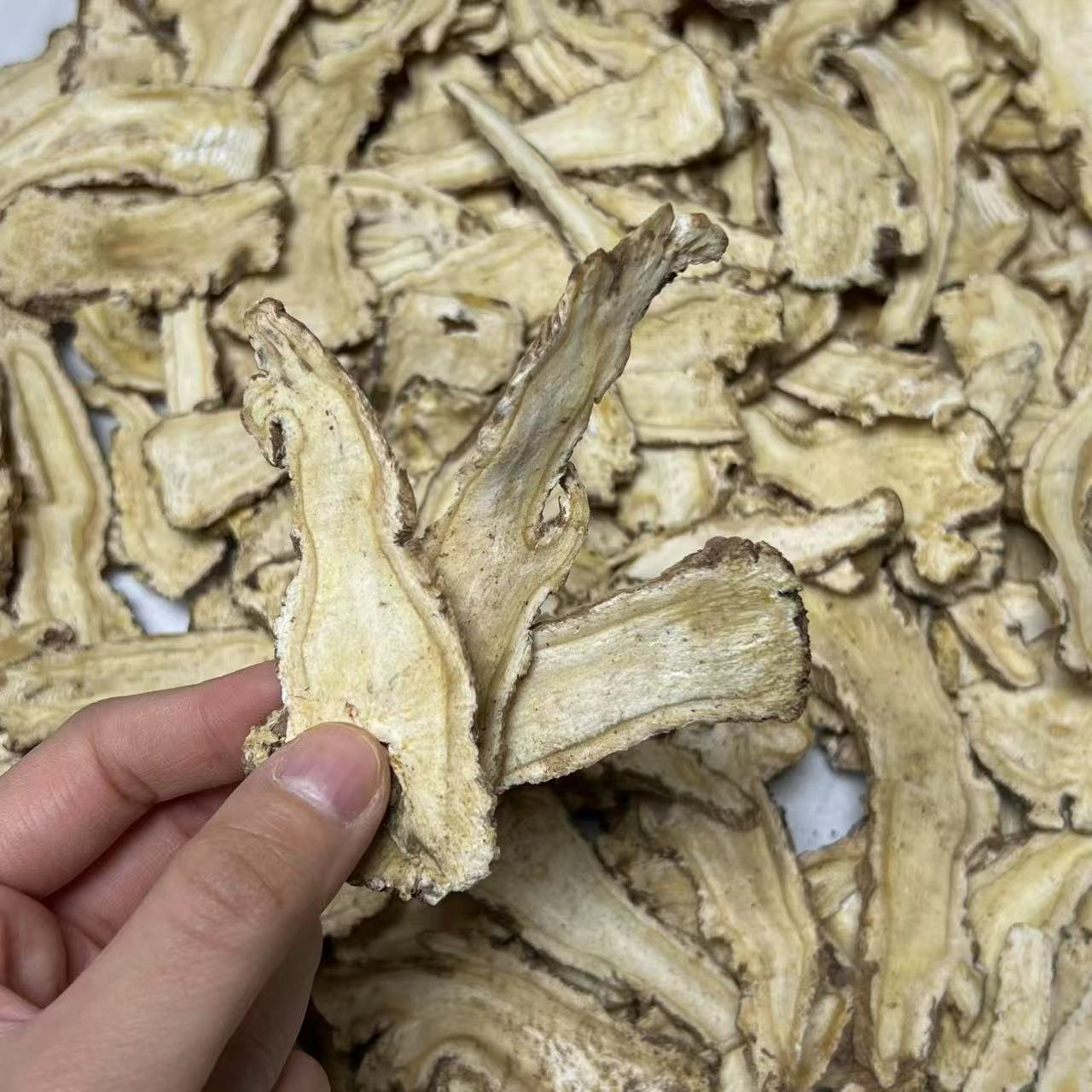 当归 原只当归切片原色货