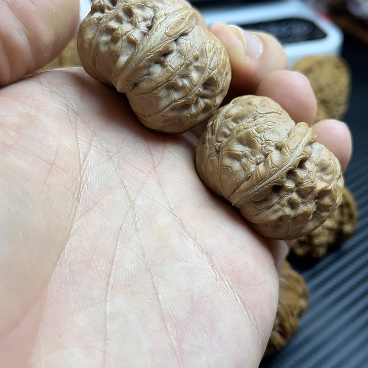 *****把件文玩核桃37全品元宝