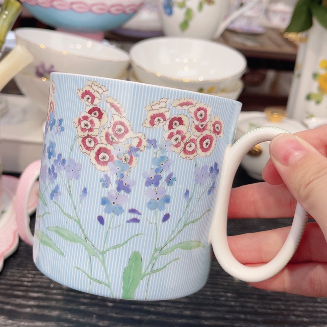 杯杯——————————————