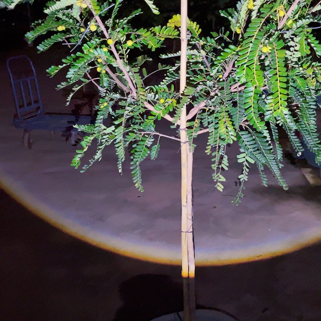 完全开放老***者g m 88888888888888