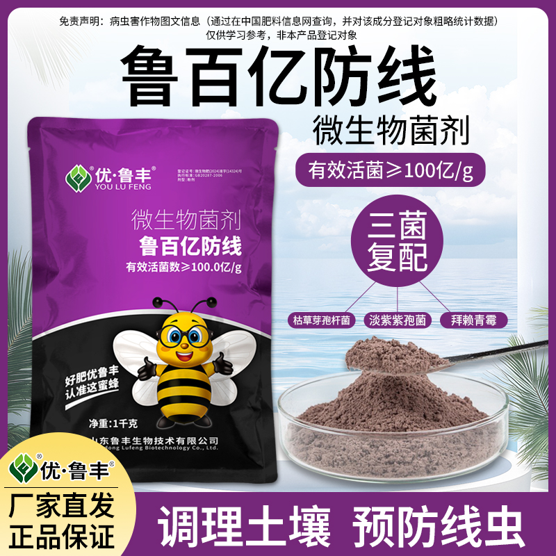 优鲁丰微生物菌剂鲁百亿防线淡紫紫孢菌
