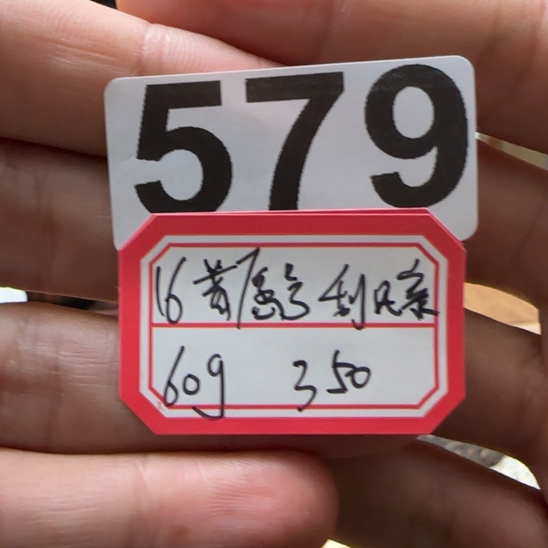 紫砂茶壶579………………