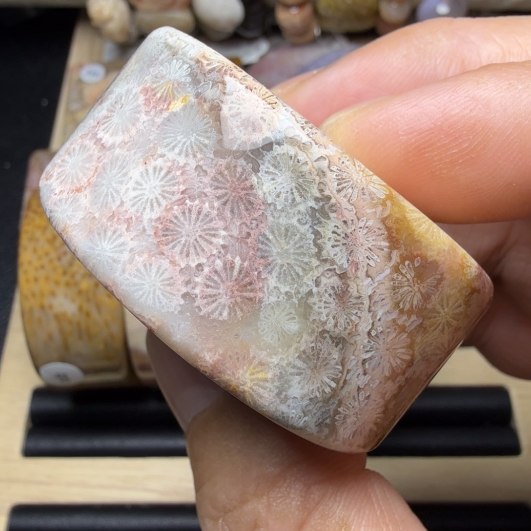 硅化玉未镶嵌手镯芯福利