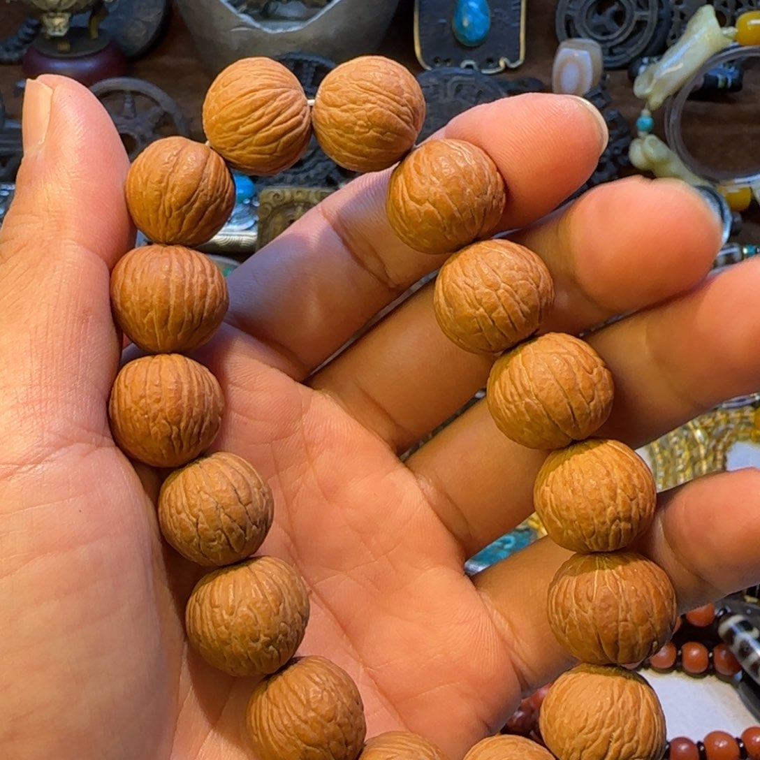 菩提对方听音乐天赋