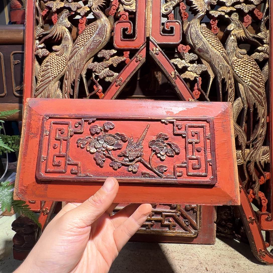 衣***且木欧阳哭哭唧唧哦哦建华会就建华