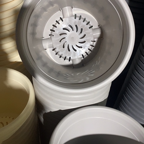 树脂四季4号无托灰白5个