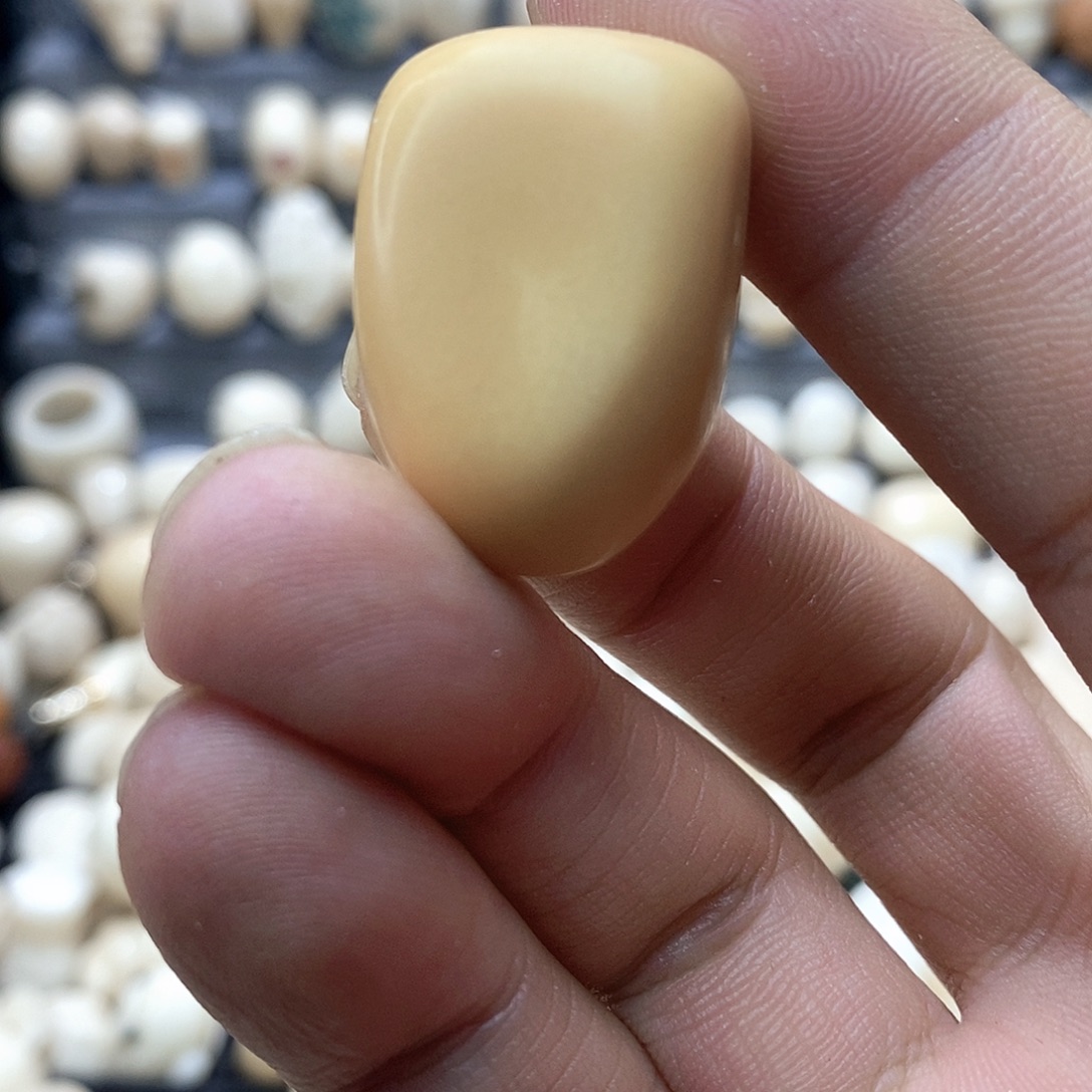 M***李吊坠菩提根/象牙果