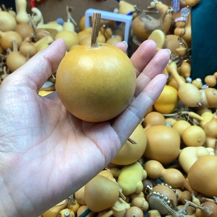 【闪购商品】?****特价不退换111