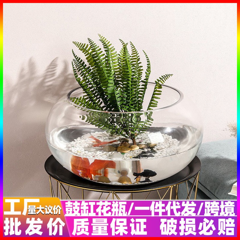 透明圆形水培花瓶桌面斗鱼迷你小鱼缸玻璃荷花水仙花莲花盆古鼓缸
