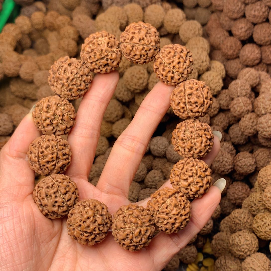 木7瓣爆肉卡23尺寸，99号