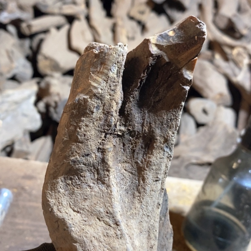 【闪购商品】把件贡木张*私人订制