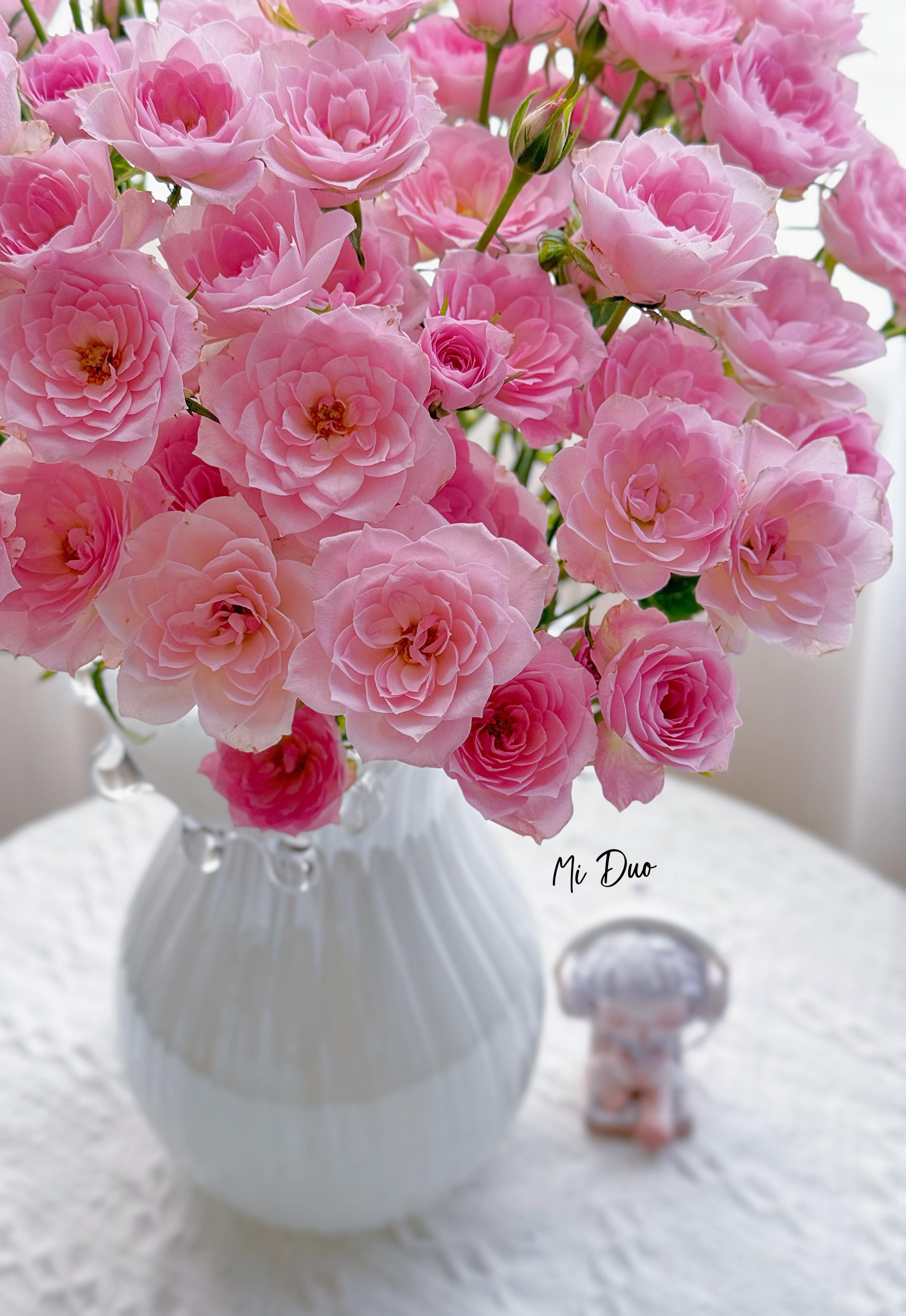 【向云端】完美甜蜜-多头玫瑰（注意：带包装醒花哦）