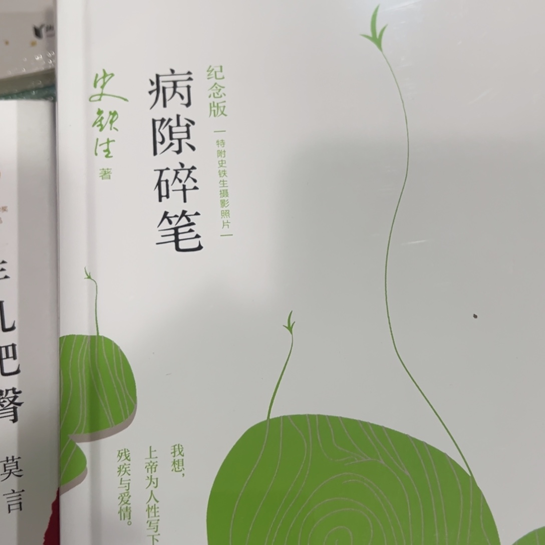 病隙碎笔精装一个