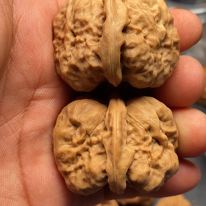 文玩核桃把件蛤蟆40