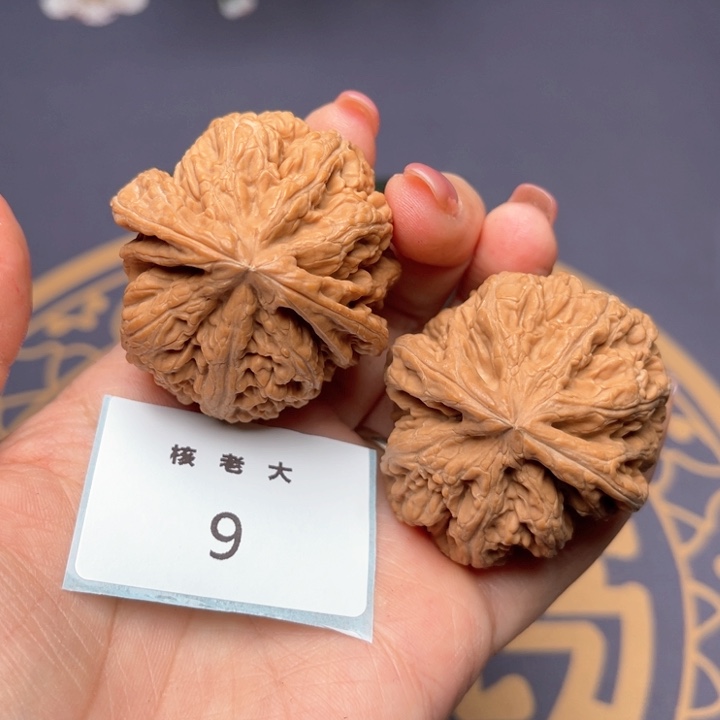 文玩核桃把件43大粗筋 9