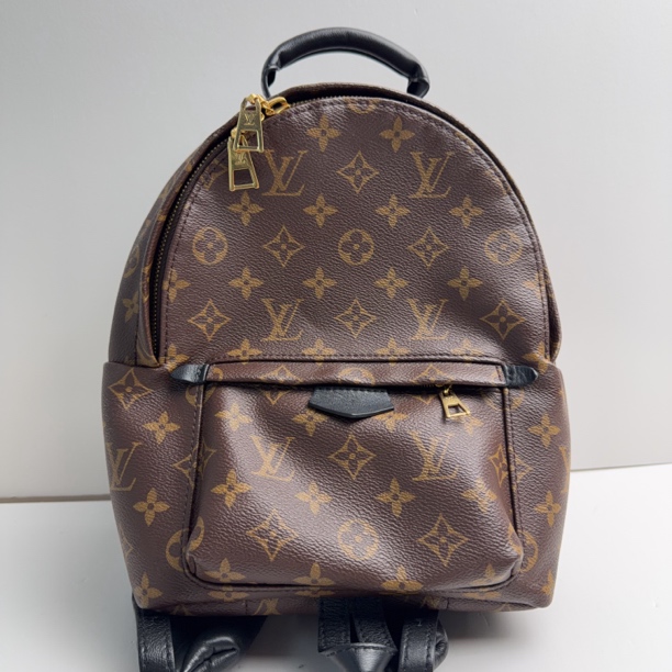 95新 LouisVuitton/路易威登 路易威登老花小号双肩包