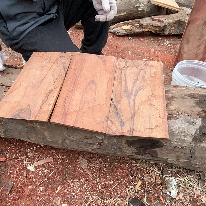 奥氏黄檀（白酸枝）三**笑555