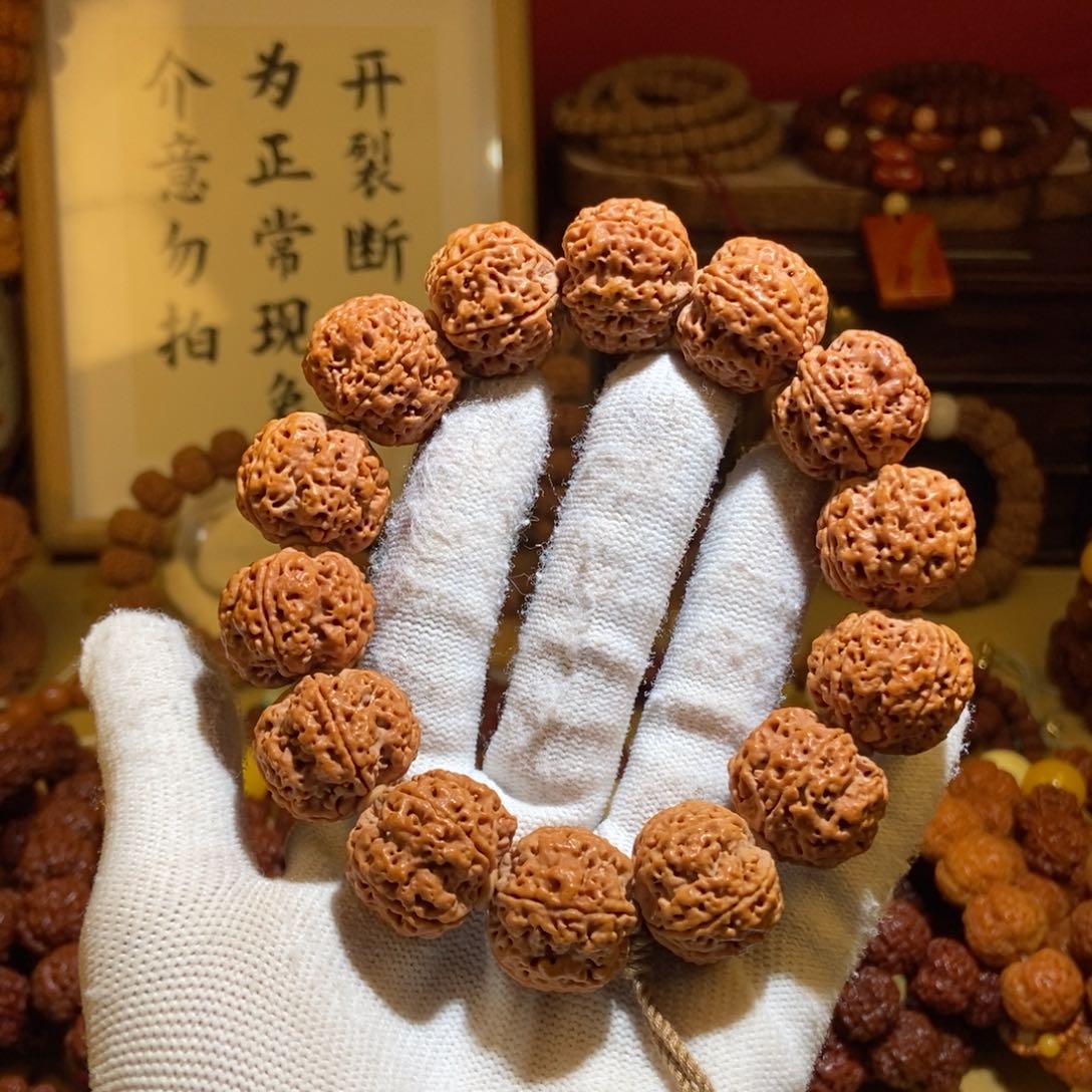 金刚菩提吊坠235原籽