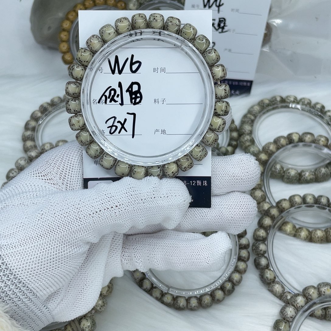 菩提籽类W6 侧留 8
