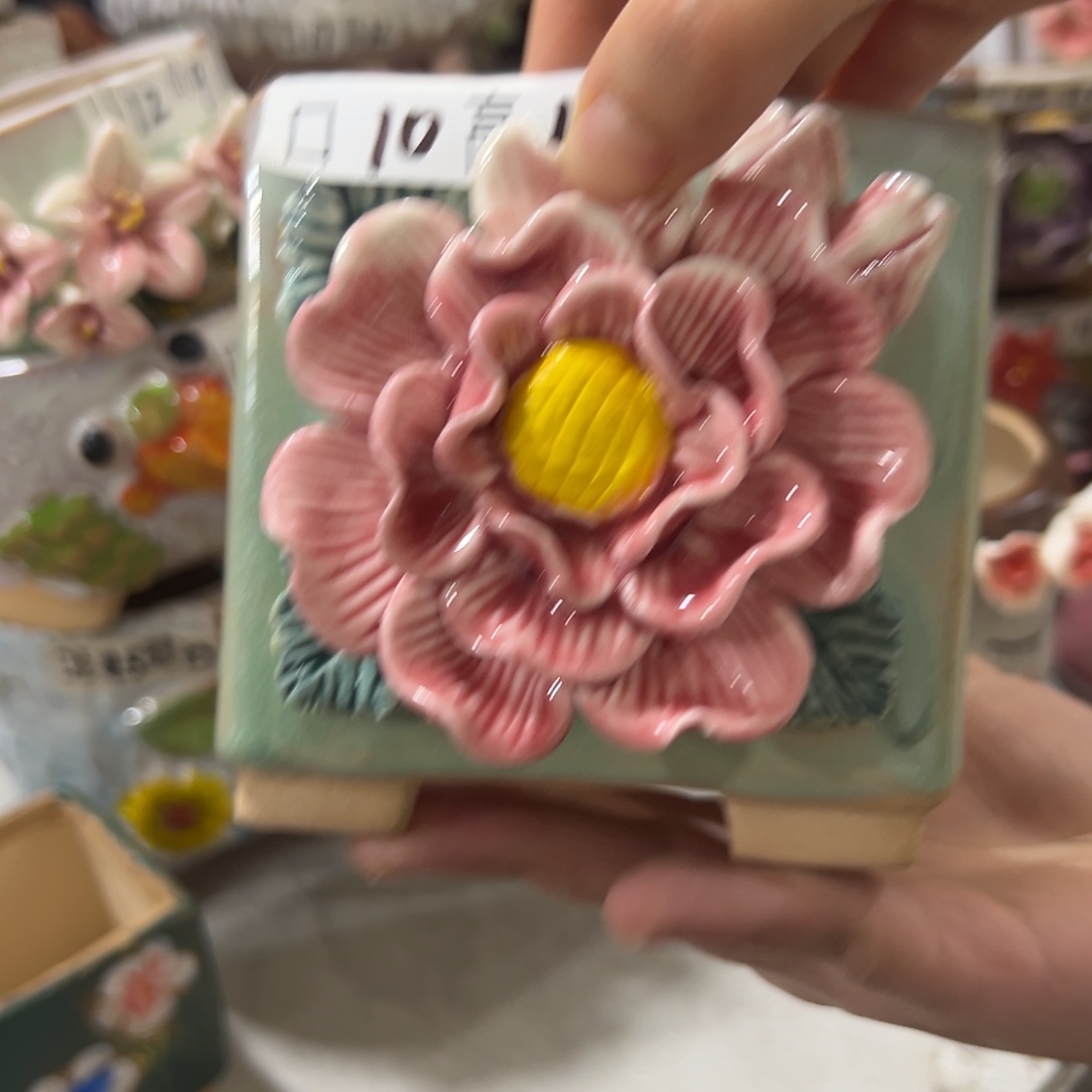 花盆，拍满20发货，退款拉黑