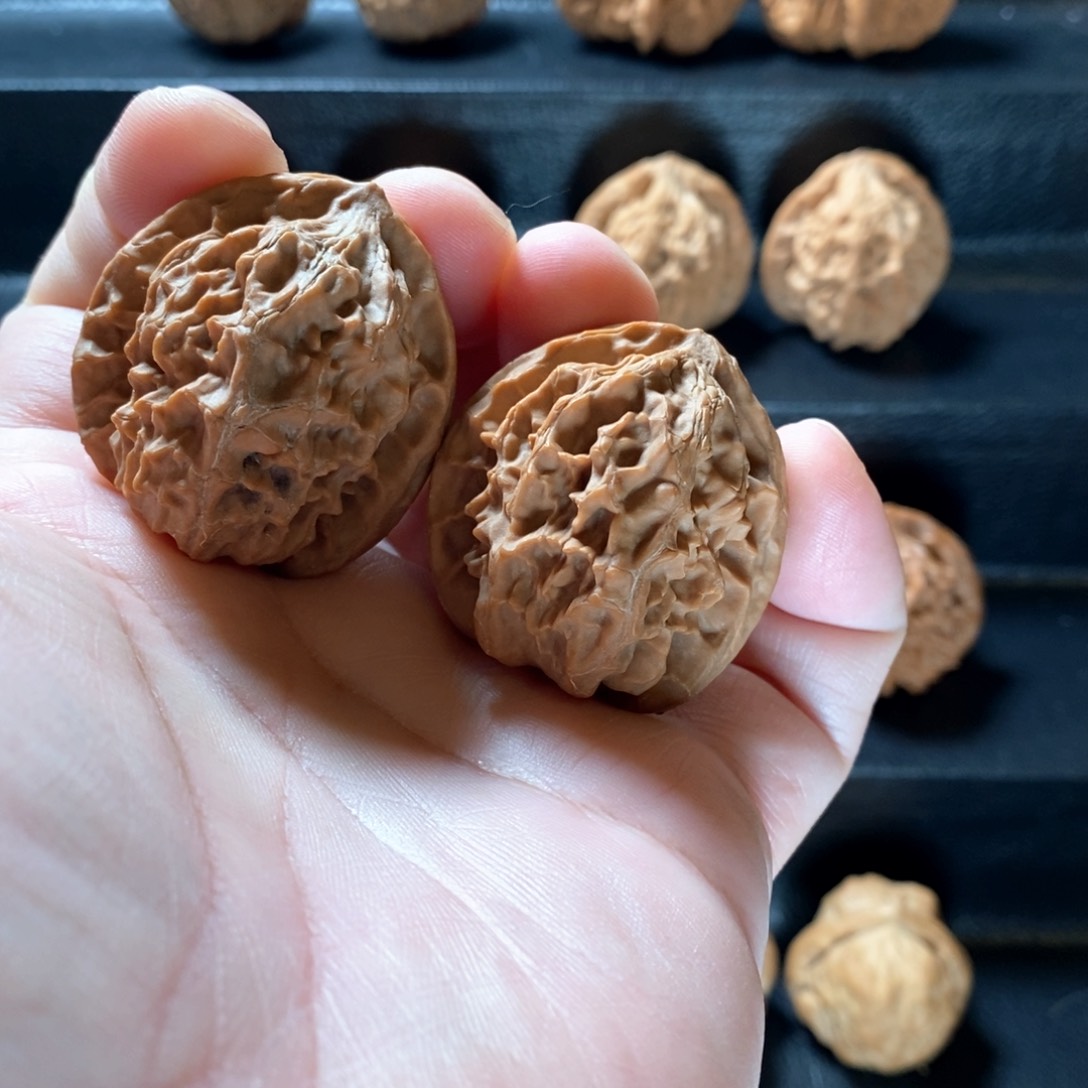 桃核把件山地龙鳞纹38虚尖