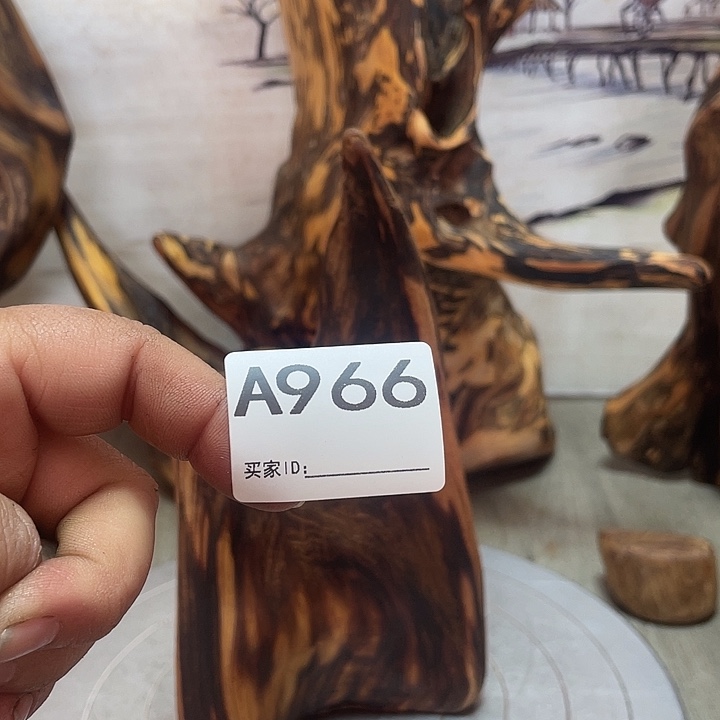 善***明木直播间木质摆件