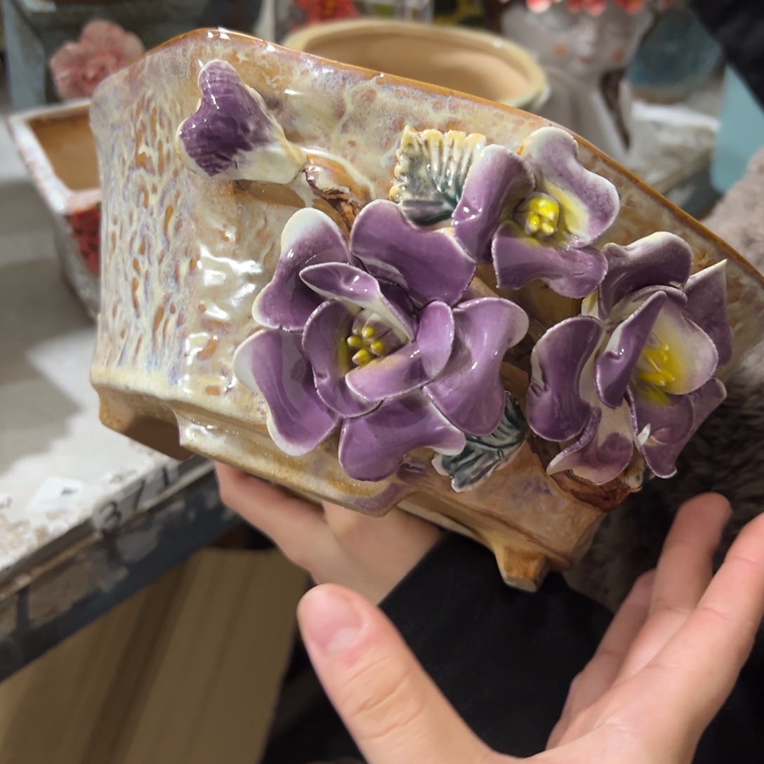 花盆，拍满20发货，退款拉黑