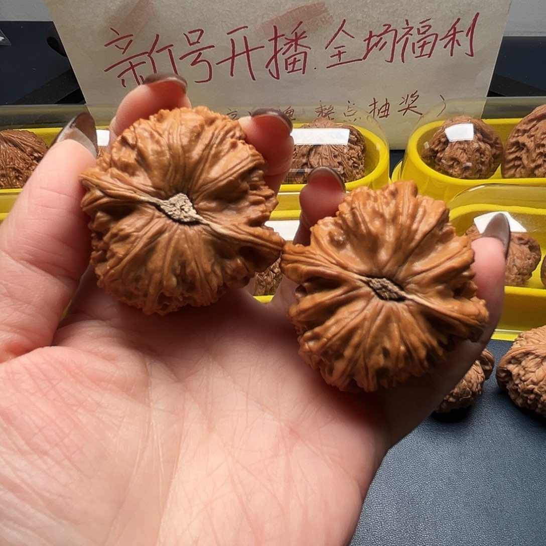 核桃444尺寸球白狮子