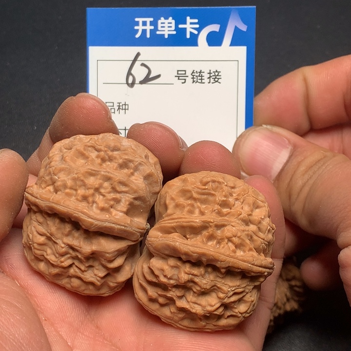 文玩核桃把件37白狮子62